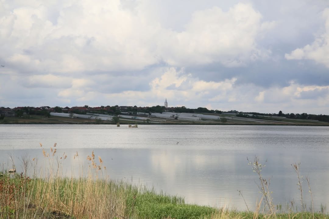 09